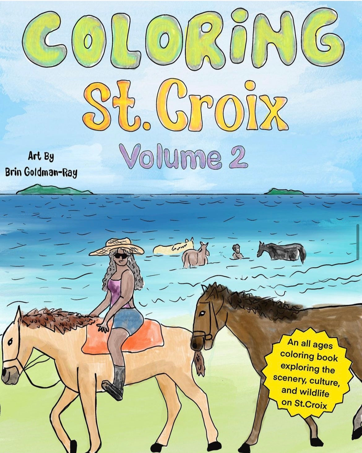 Signed Coloring STX-vol 2